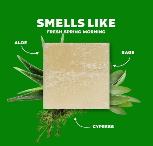 Dr. Squatch Cool Fresh Aloe Bar Soap